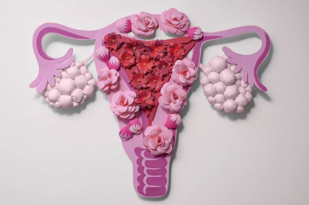 1659085942 – upravene 1